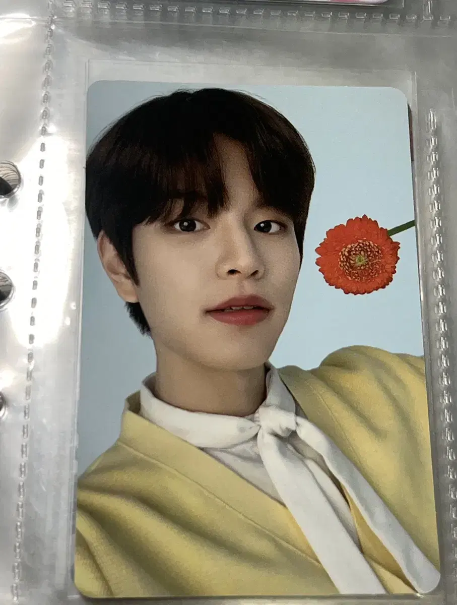 Skz seungmin Pacific9Chi