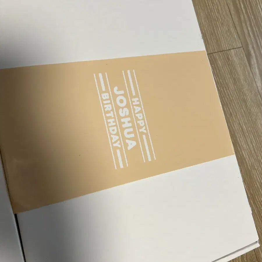 23 세븐틴 승관 슈아 생박