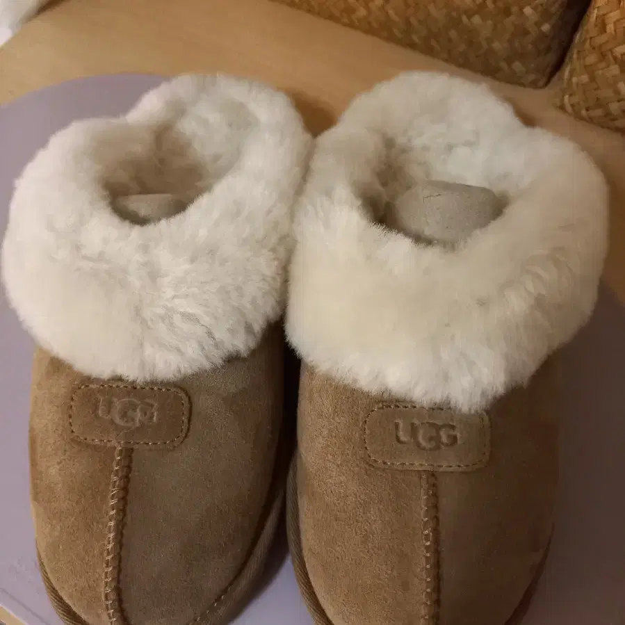 미국 어그 ugg 코케트 240