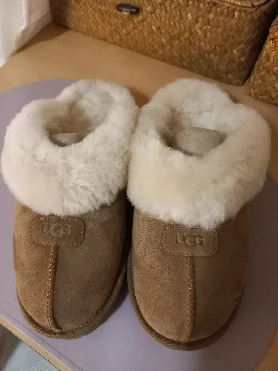 미국 어그 ugg 코케트 240