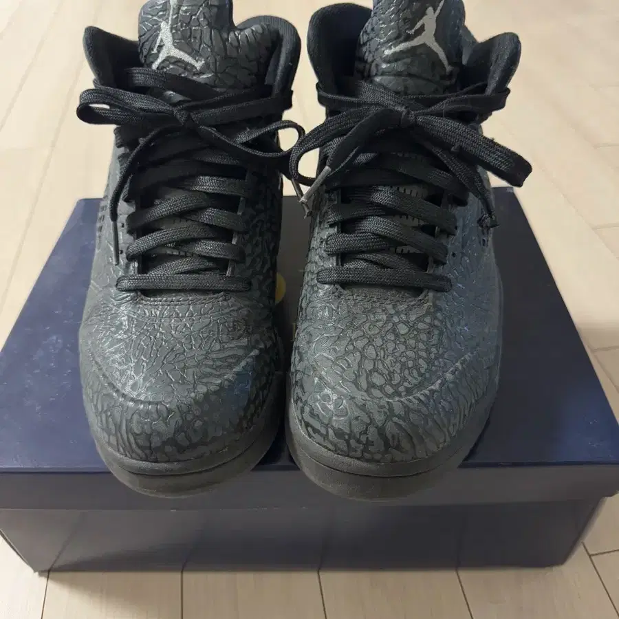 [265] NIKE JORDAN 5 3Lab5