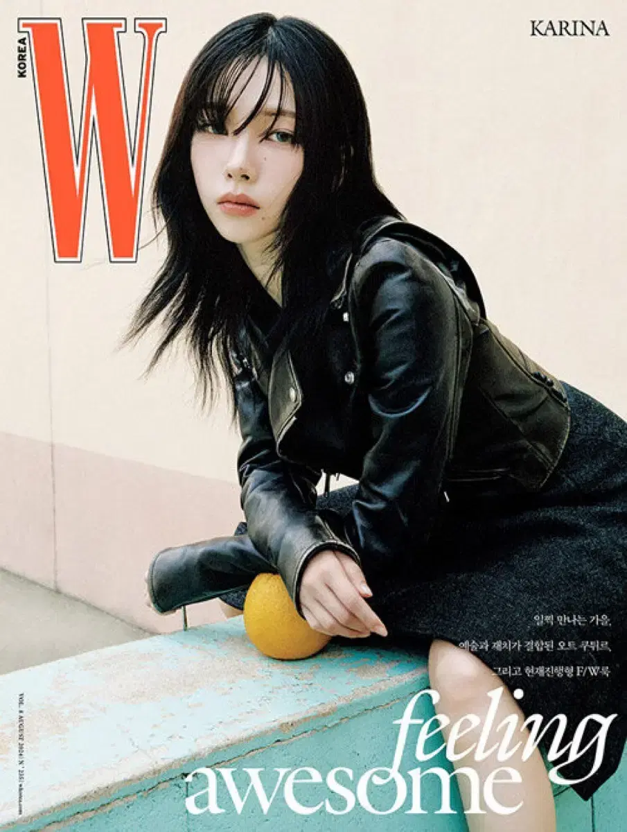 W korea 2024.8