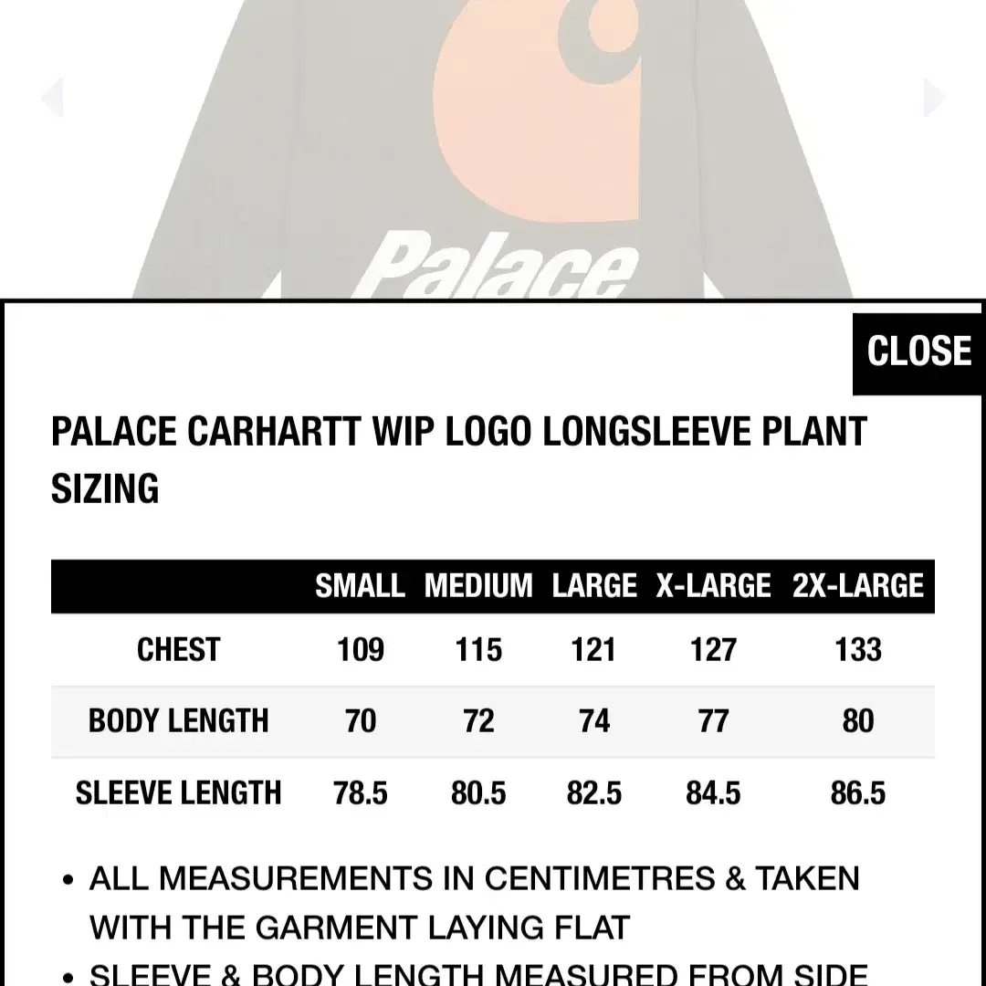 PALACE 팔라스 칼하트 롱슬리브 PLANT