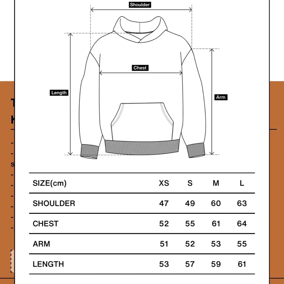 [L] 컬렉트피시스 THUNDER BEAR HOODIE