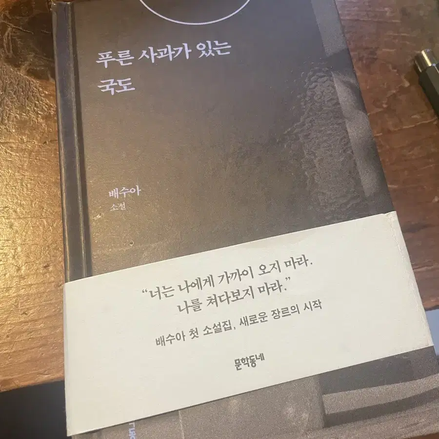 푸른 사과가 있는 국도 배수아 소설집 책 도서 판매