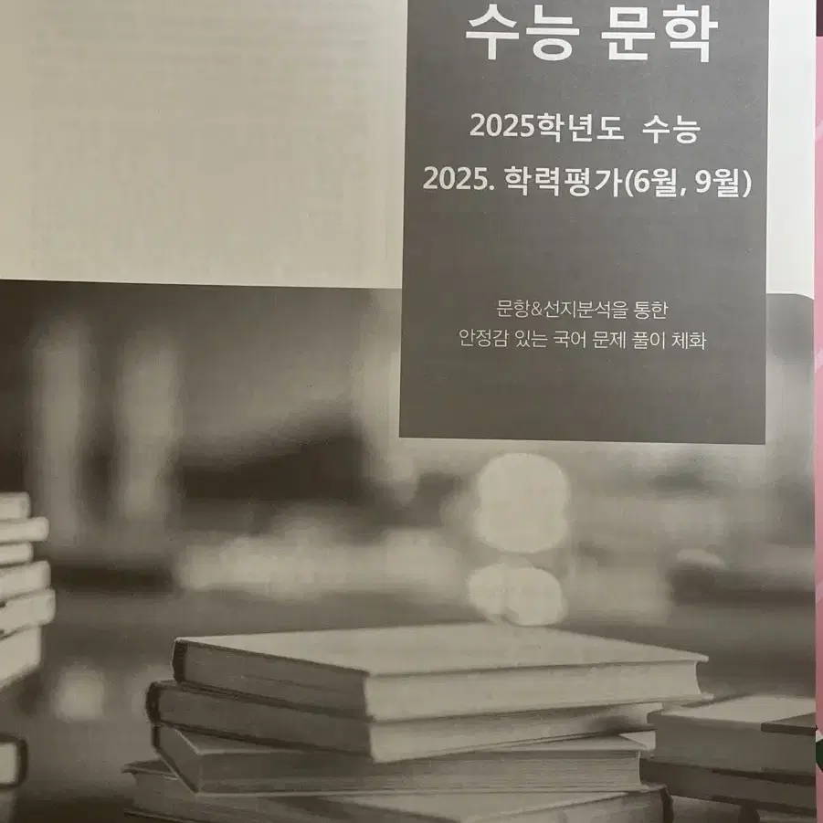 시대인재 국어 김재훈 2025분석서