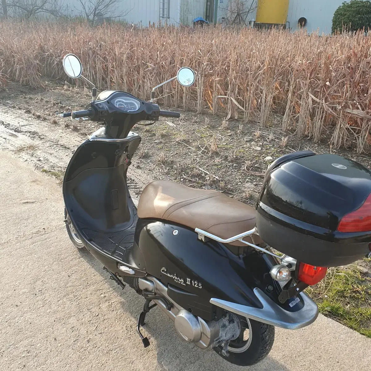 뉴카빙125(pcx125 nmax125 벤리110 벤리50 울프125