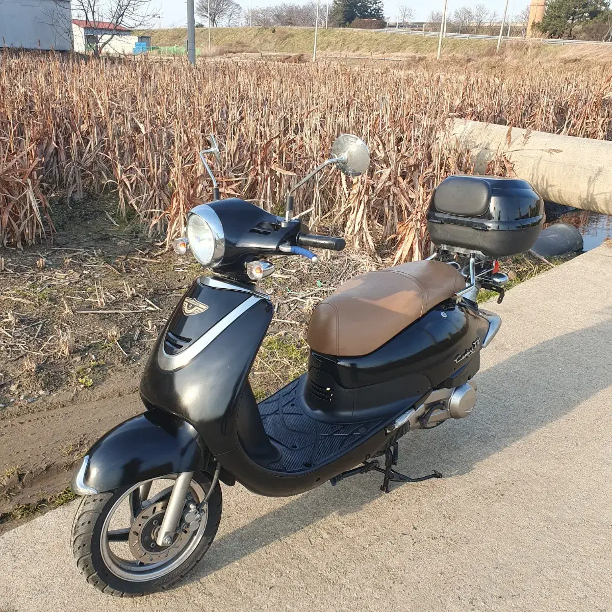 뉴카빙125(pcx125 nmax125 벤리110 벤리50 울프125