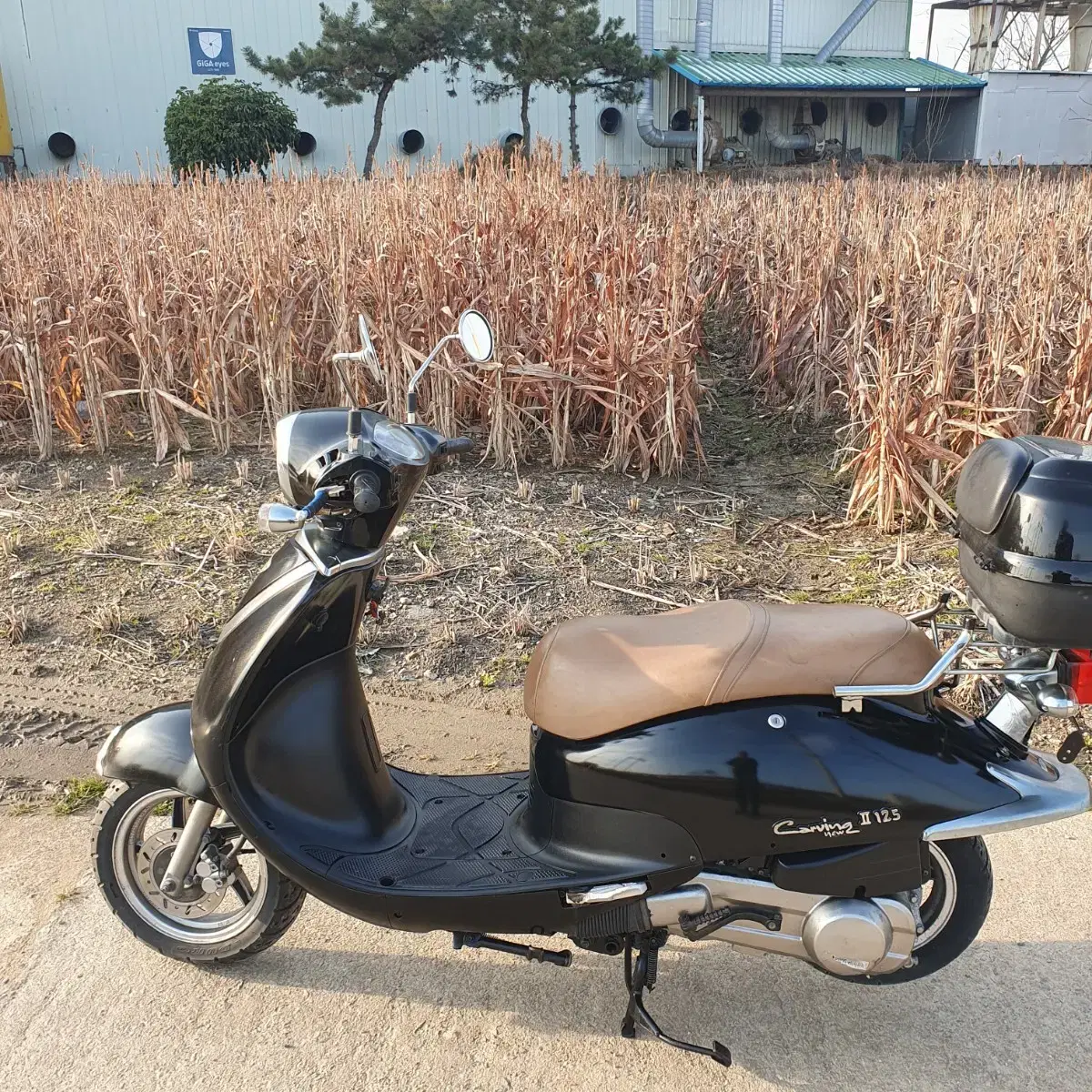 뉴카빙125(pcx125 nmax125 벤리110 벤리50 울프125