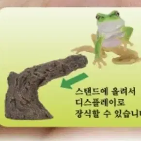 반다이 생물 대도감 손가락에 꼬옥 컬렉션 개구리 청개구리 아마존 밀크프록