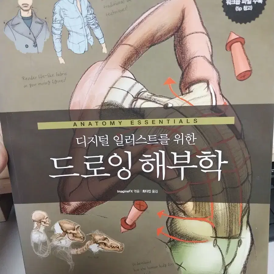 디지털 일러스트를 위한 드로잉 해부학 인체 그림 일러스트 공부 책 도서