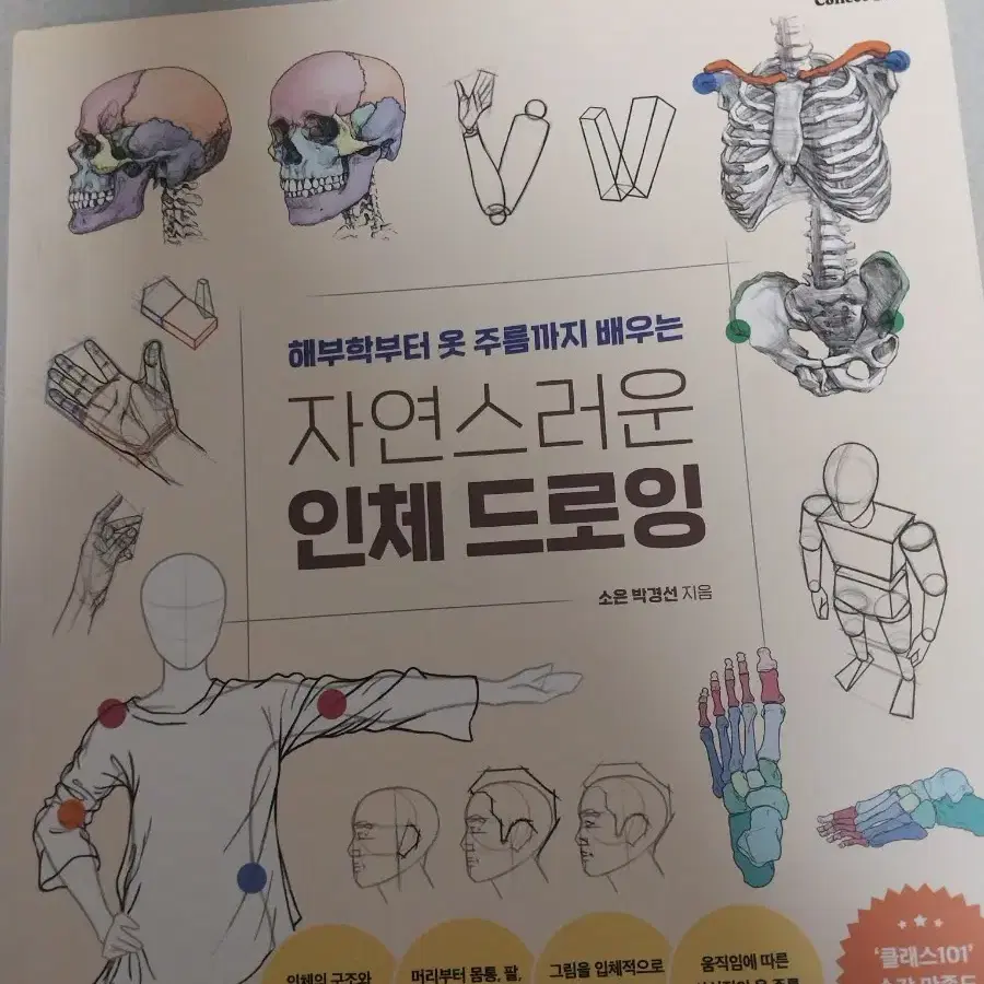 해부학부터 옷 주름까지 배우는 자연스러운 인체 드로잉 그림 공부 일러스트