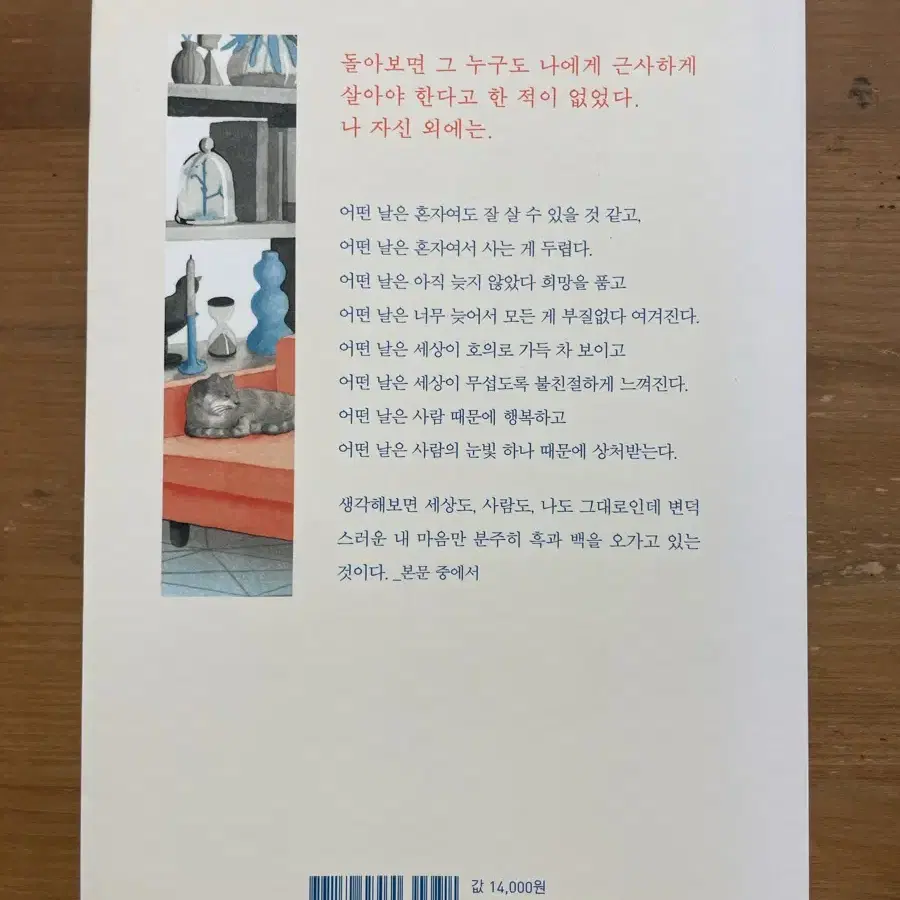 혼자 살면 어때요? 좋으면 그만이지 - 신소영