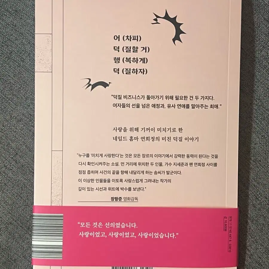 소설책 나를 사랑하는 미친 누나 배기정 자음과모음 중고 도서