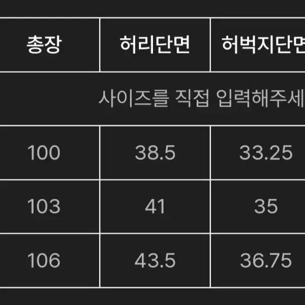 디스이즈네버댓 데님 카고 팬츠 L사이즈 신품