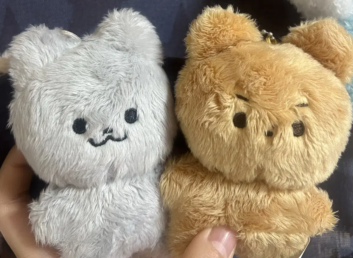 더보이즈 현재 주연 인형 달곰 쥬냥 밀꼬미 일괄 양도합니다