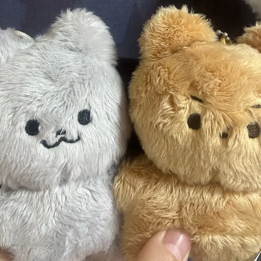 더보이즈 현재 주연 인형 달곰 쥬냥 밀꼬미 일괄 양도합니다