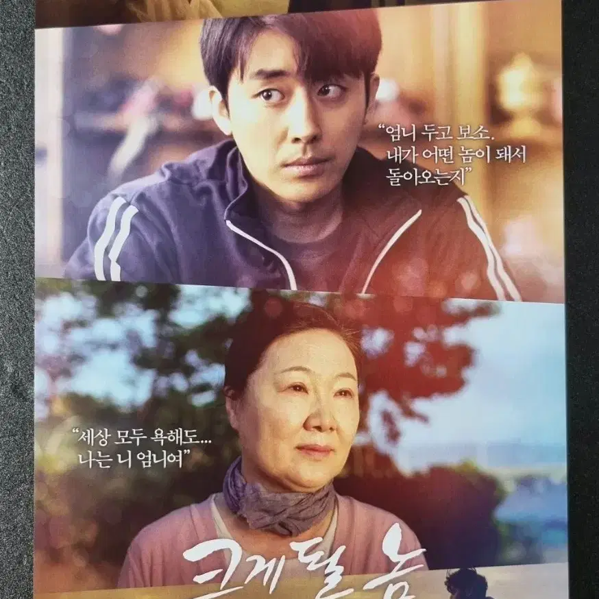 [영화팜플렛] 크게될놈 (2019) 손호준 김해숙 남보라 영화전단지