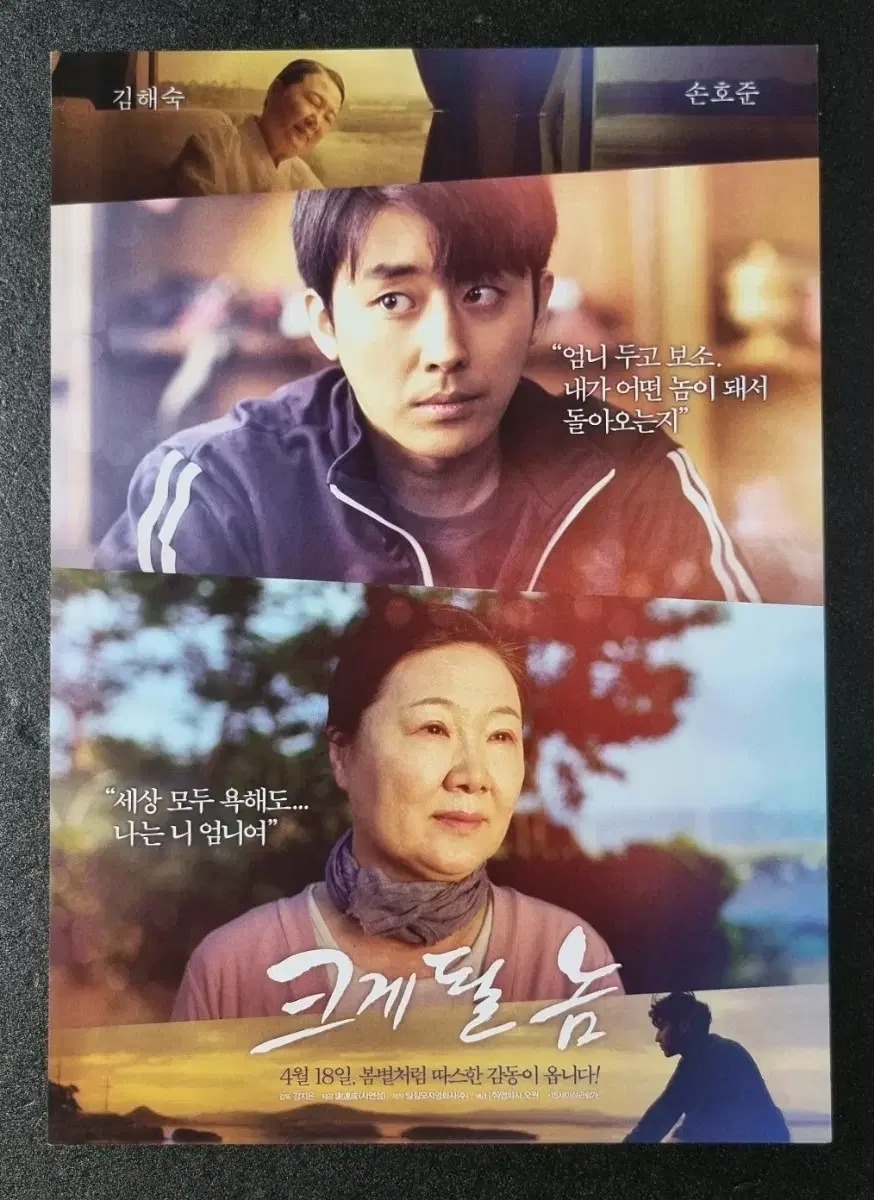 [영화팜플렛] 크게될놈 (2019) 손호준 김해숙 남보라 영화전단지