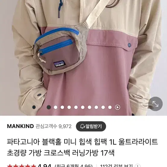 파타고니아 힙팩 힙색 미니백 웨이스트백 핑크 베이지 블루