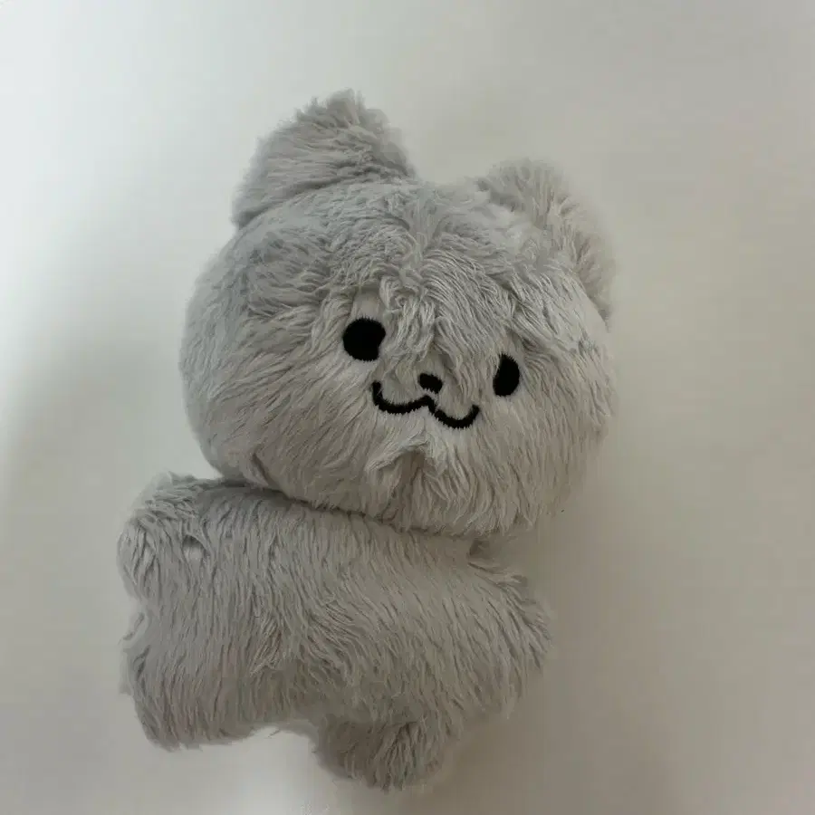 달곰이 쥬냥이 마물쭈 양도