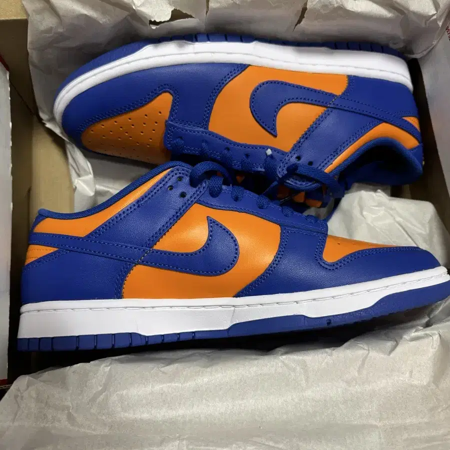 Nike Dunk Low Retro Bright Ceramic Team