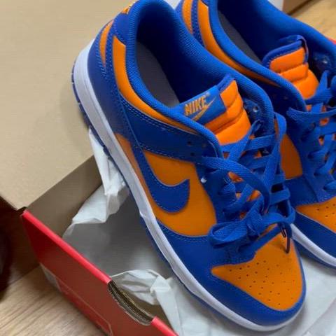 Nike Dunk Low Retro Bright Ceramic Team