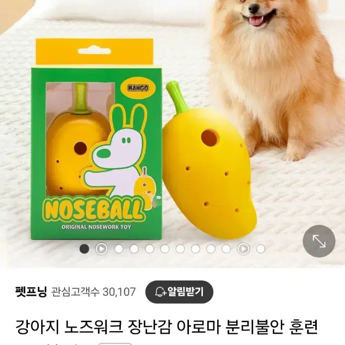 강아지 노즈워크  노즈볼 망고