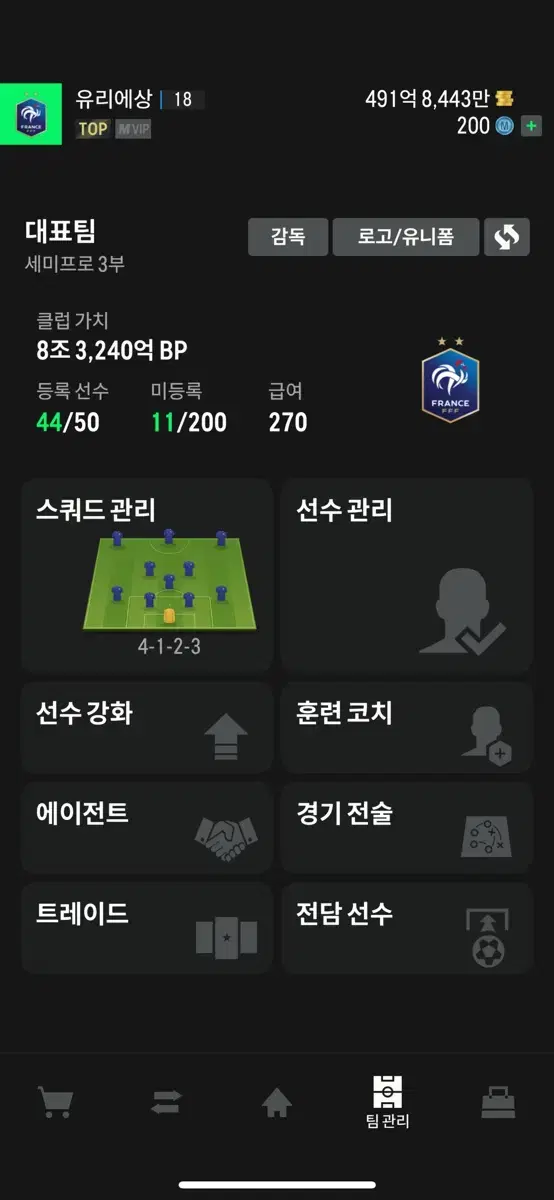 피파굿즈 fc온라인