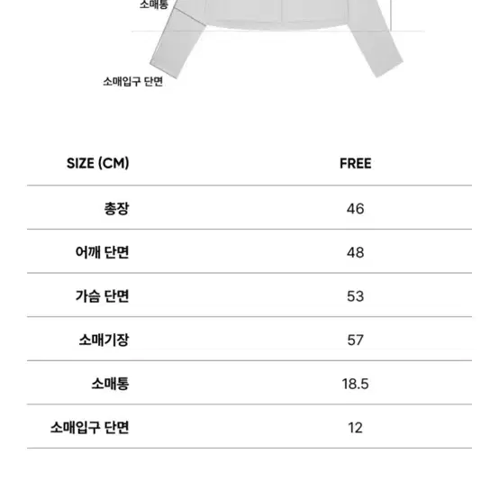 시티브리즈 크롭 셔츠