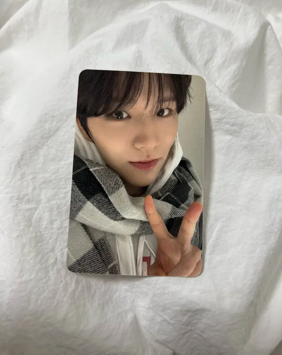 NCT Wish apple music Jaehee Photocard