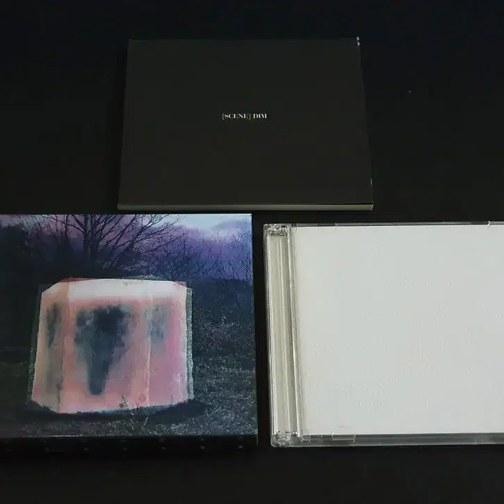 The GazettE 가젯토 4집 앨범 DIM (CD+DVD) 한정반