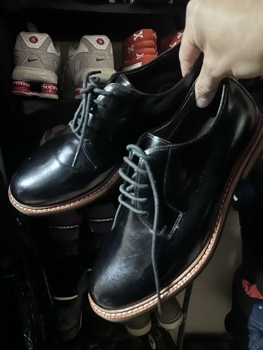 Embio cowhide oxford shoes derby shoes 270E (260-270)