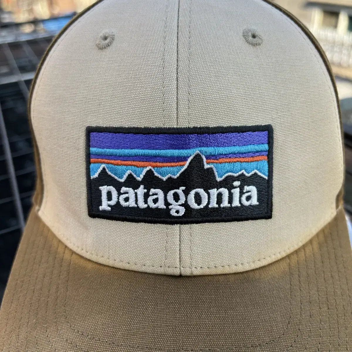 Patagonia 파타고니아 P-6 브라운 투톤 볼캡