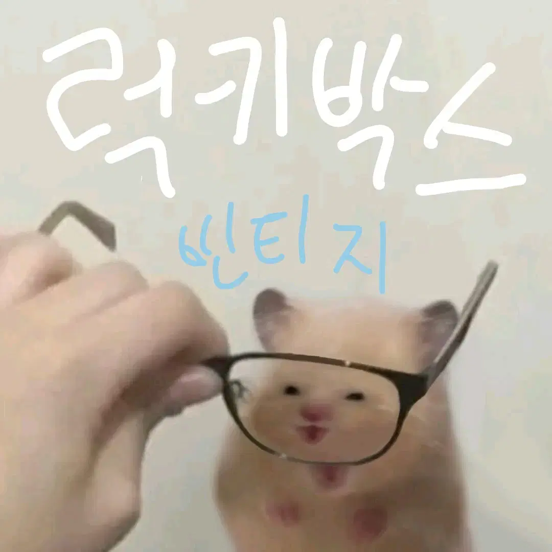 빈티지 옷 럭박