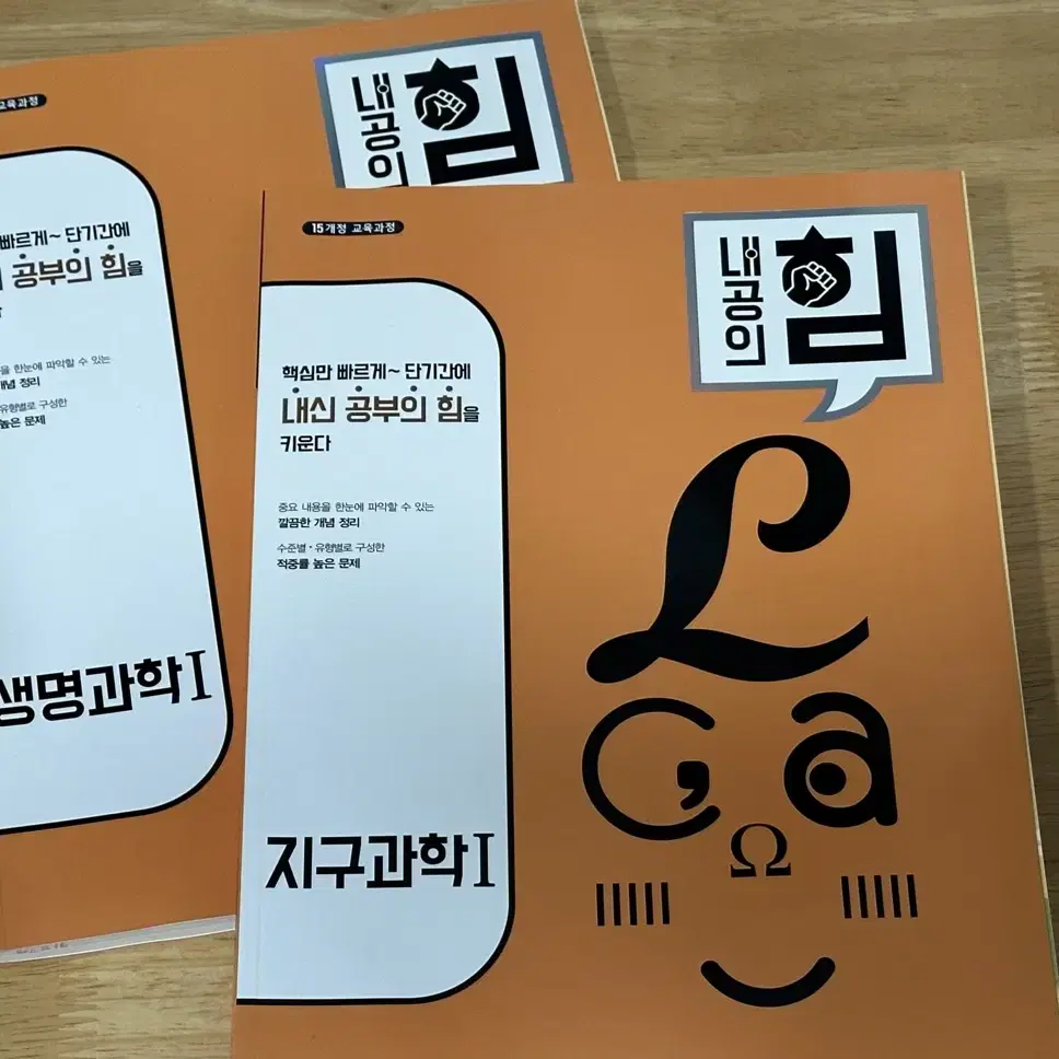 내공의 힘 생명,지구 문제집