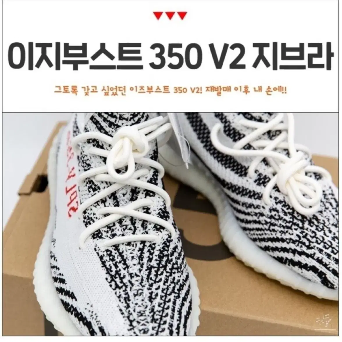 이지부스트 350V2 지브라