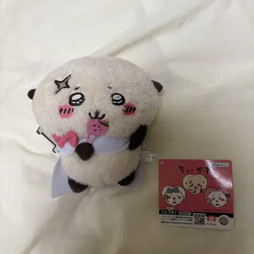 치이카와 (먼작귀) 봉제 인형 랏코
