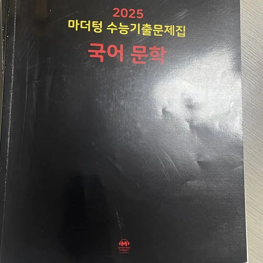 마더텅 2025 국어 문학