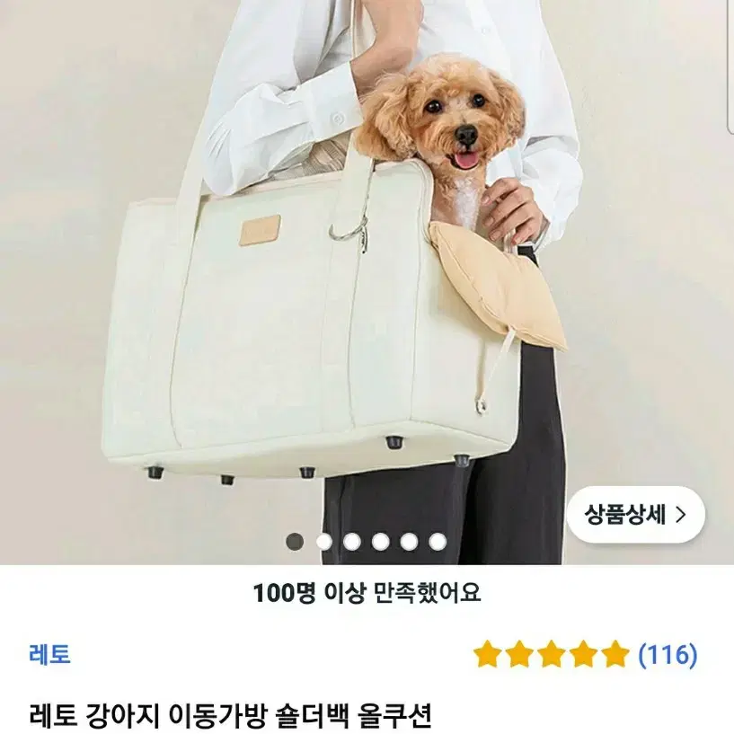 레토 강아지 이동가방