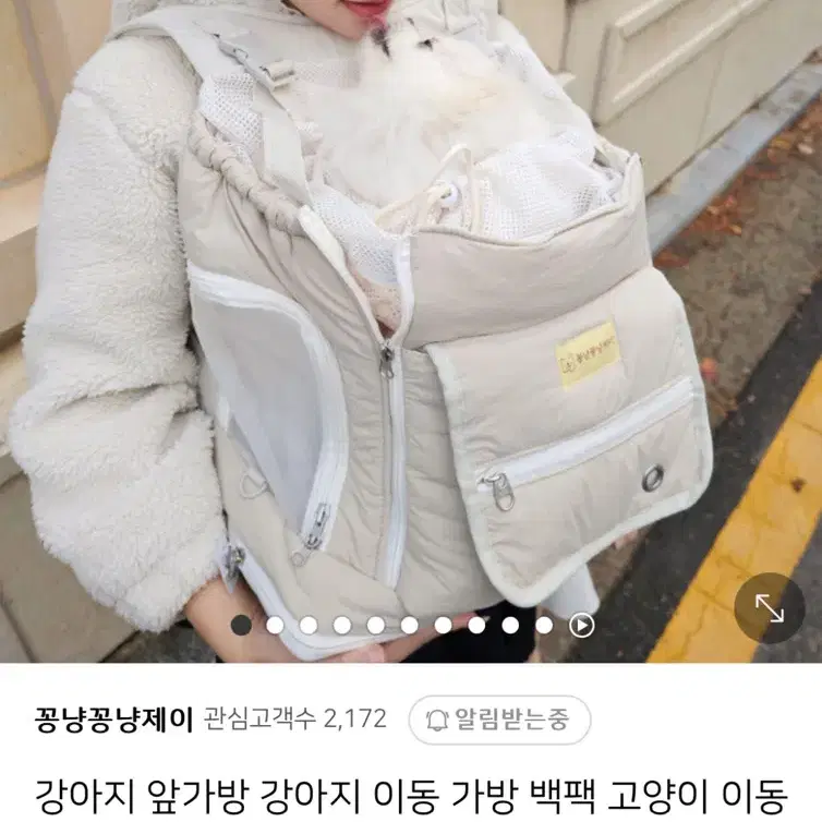 꽁냥꽁냥제이 강아지 고양이 이동가방 아기띠 형식