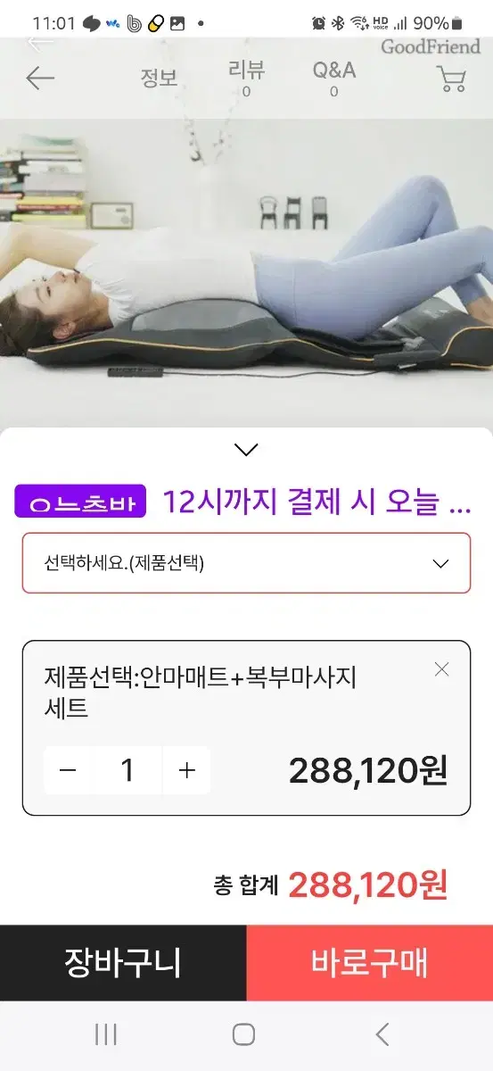 굿프렌드 신수지 온열안마매트