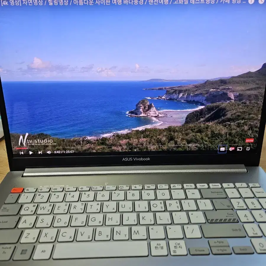 asus vivobook 프로16x 노트북 판매