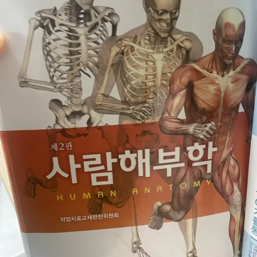 작업치료학생 책