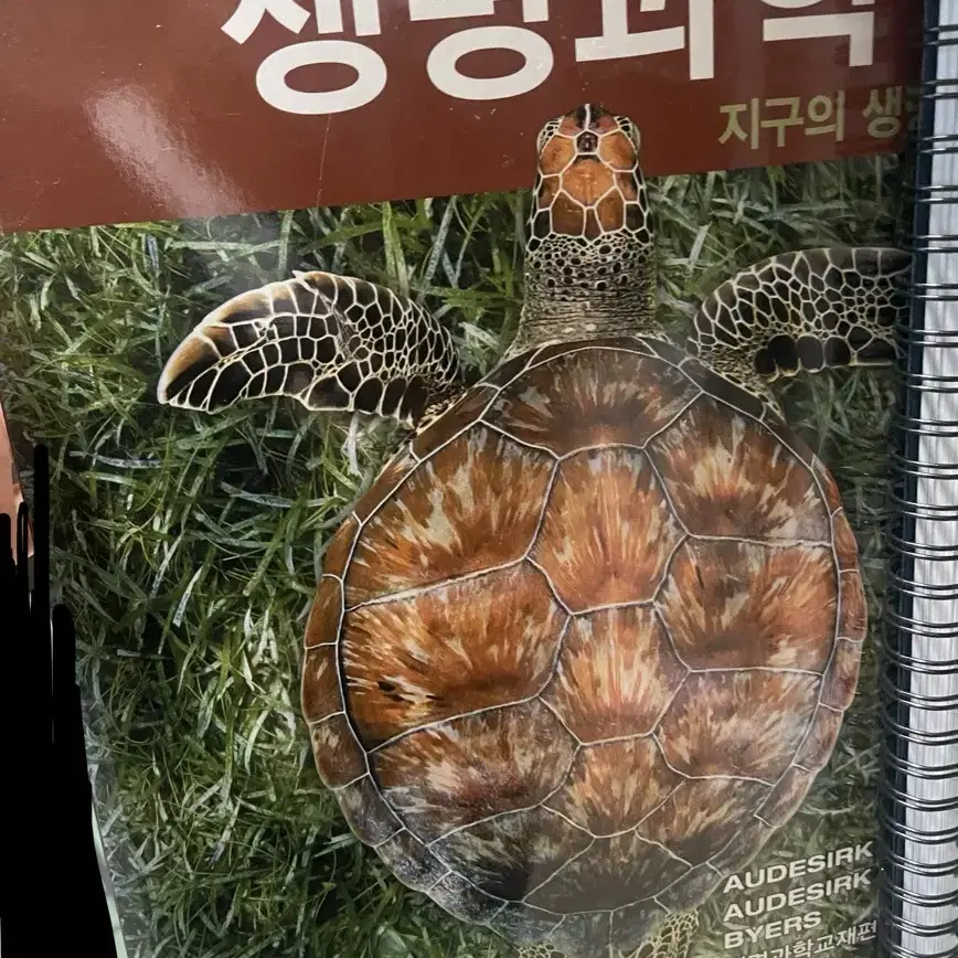 작업치료학생 책