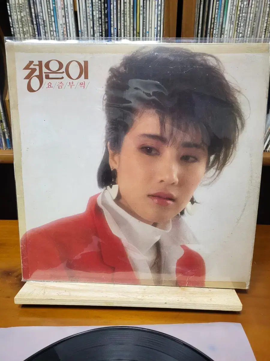 성은이 LP