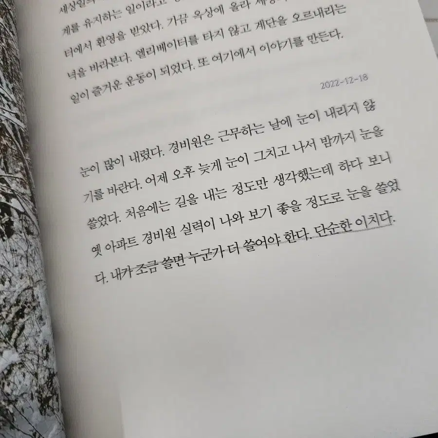 소설책 나는가장슬픈순간에사랑을 생각한다, 슬픔에 이름붙이기