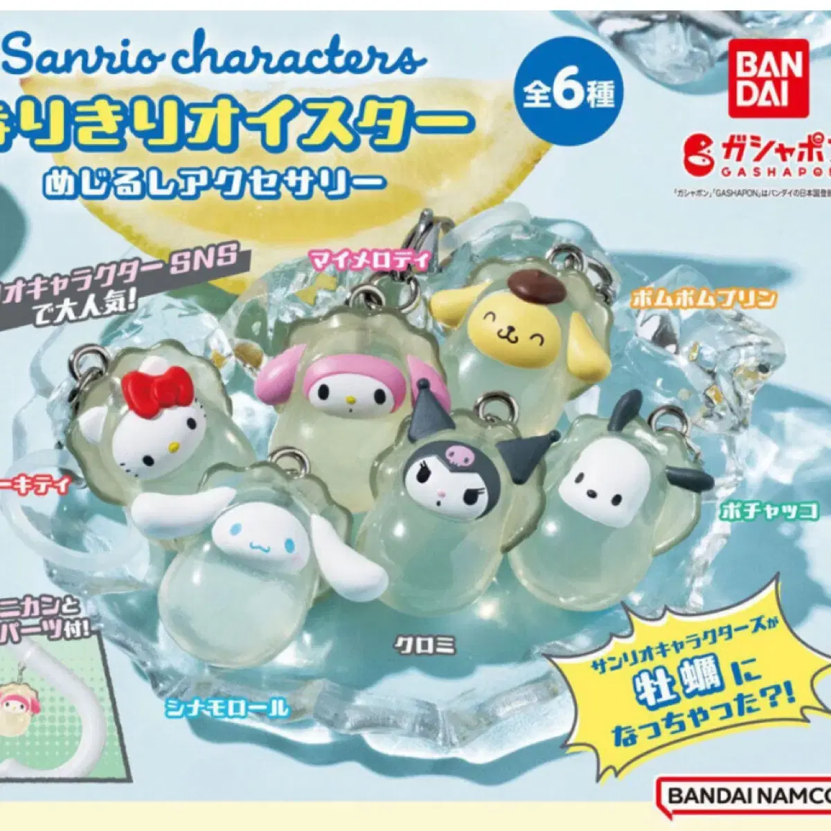 Bandai Sanrio Narikiri Oyster Collaboration Mejiroshi Accessories keyring Gacha