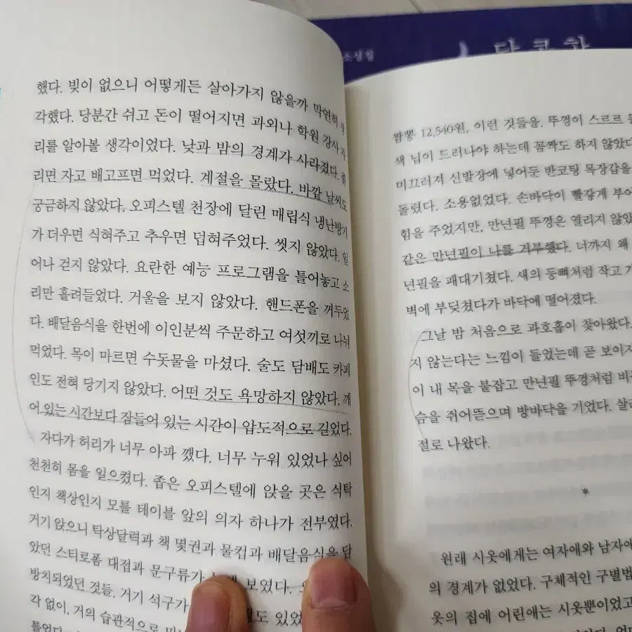 달콤한픽션, 멜라닌,계절은짧고 기억은영영, 청소부메뉴얼, 태도의언어