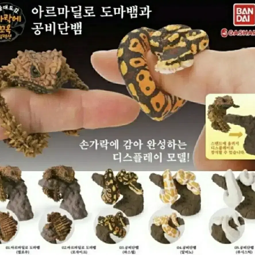 생물대도감 손가락에 꼬옥 갑옷 도마뱀과 공비단뱀 캡슐토이 갸차 뽑기 일본